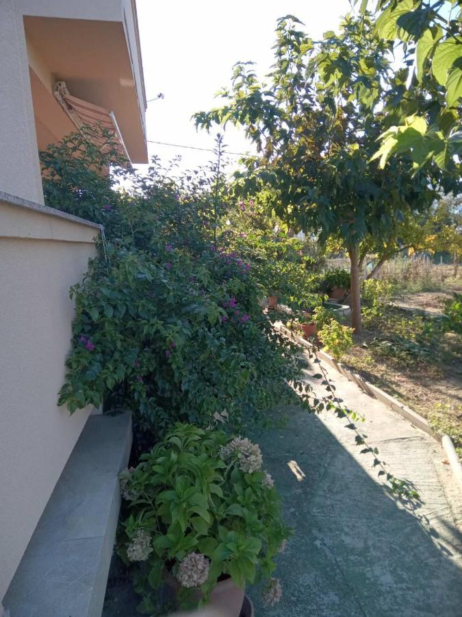 Apartmani Danijela Lopar Kültér fotó